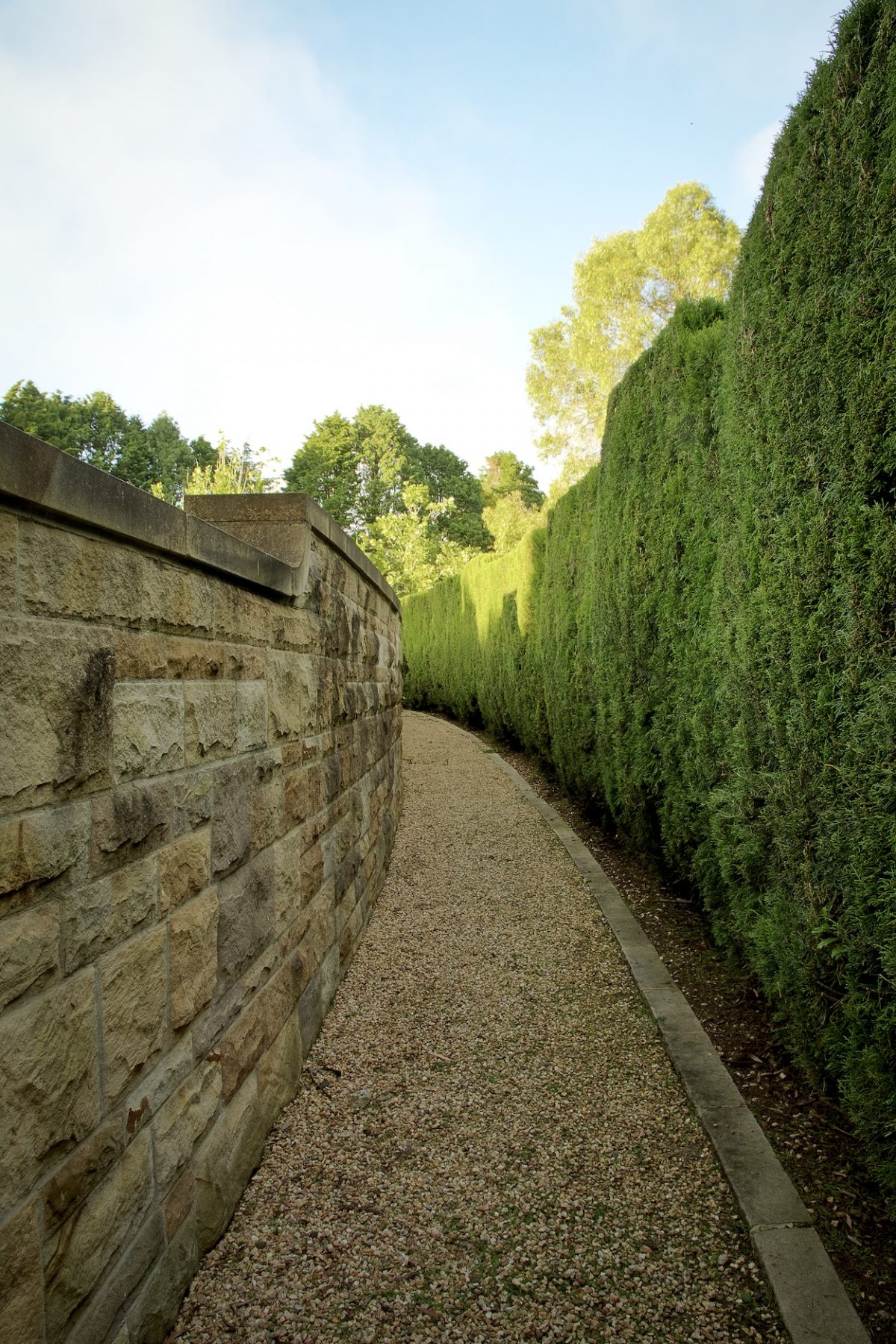 Gravel path between a stone wall and clipped hedge in a Southern Highlands garden