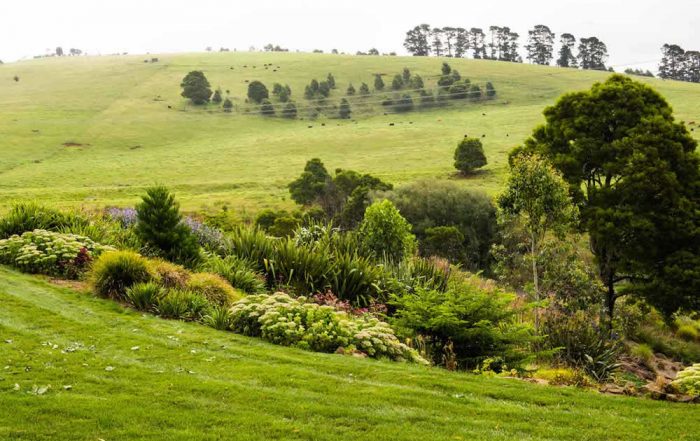 Sloping lawn and mixed planting running out to open paddocks and rows of trees in the Southern Highlands