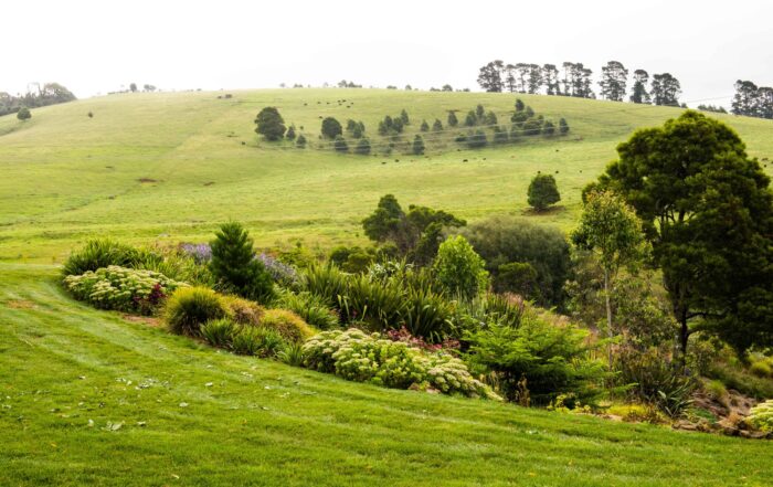 Acreage garden design with layered planting and rural backdrop by Nicholas Bray Landscapes