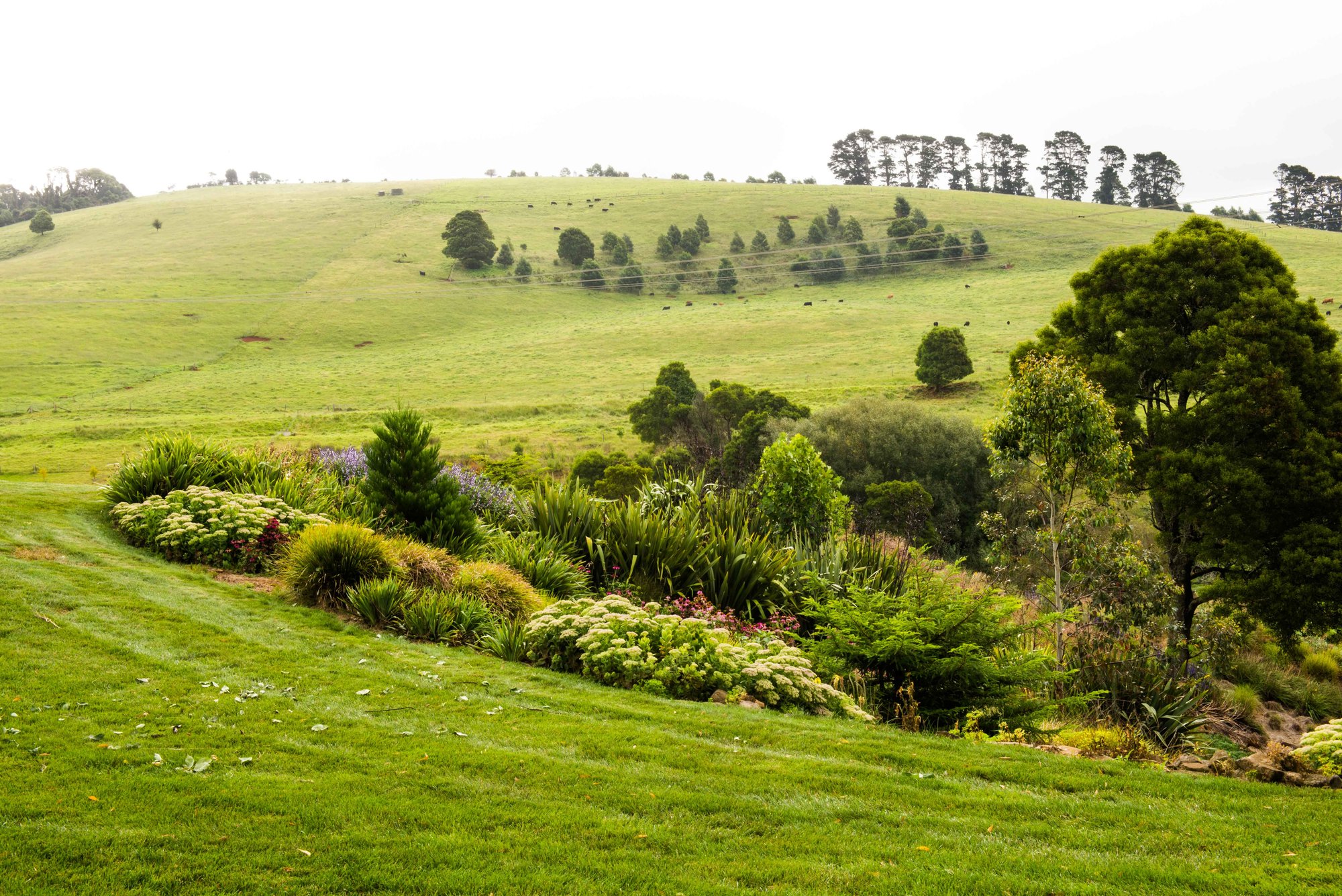 Acreage garden design with layered planting and rural backdrop by Nicholas Bray Landscapes